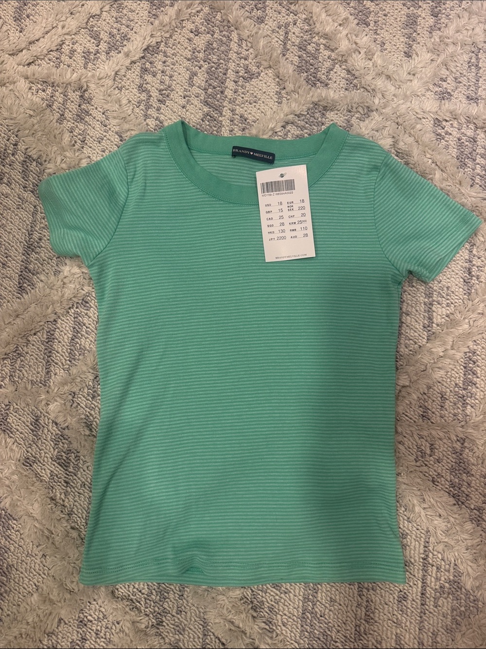 Brandy Melville teal stripped Short Sleeve tee!!